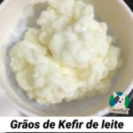 Kefir de leite, um super probiótico